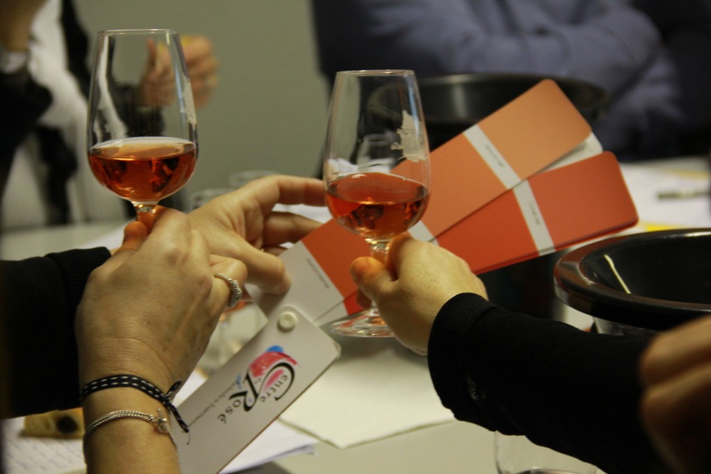 Dimanche 24 mai 2026 : INITIATION À LA DÉGUSTATION – Image 3