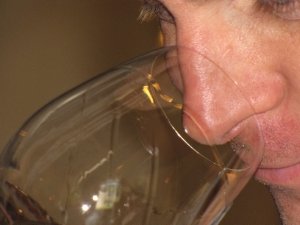 Dimanche 24 mai 2026 : INITIATION À LA DÉGUSTATION – Image 2