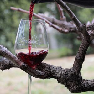 de la vigne au verre
